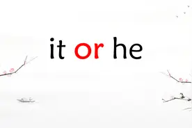 it和he都可以指代人，有什么区别呢