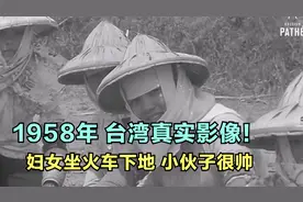台湾1958年真实影像：农民坐火车下地，百名妇女手工收割甘蔗！视频封面