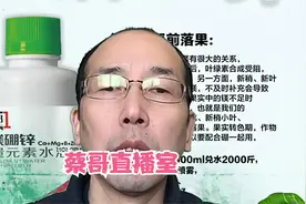 作物硼中毒 怎么办视频封面