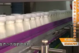 “海河乳业，老牌子，喝着放心”！工厂探访天津人的经典回忆！视频封面