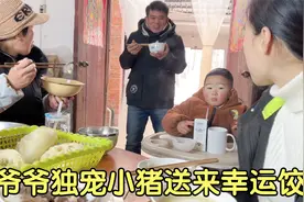 大年初二静静家吃饺子，爷爷独宠小猪送幸运饺，爷孙齐磕头行好运视频封面