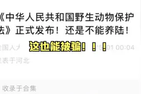 这居然也能被骗！今年龟圈的大事情，蛋龟不入保，陆龟不能养！！视频封面