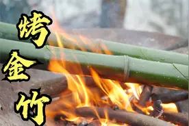 竹子怎么吃？砍一根回家直接用火烤，最后竹沥太美味了！