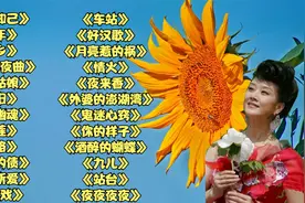 怀旧情歌｛红颜知己｝｛少年｝｛家乡｝｛月光小夜曲｝｛桥边姑娘视频封面