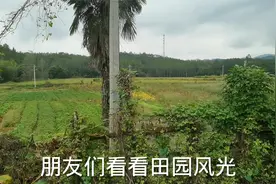 寻一栋在集市边上的小平房，种种菜养养鸡，享受田园生活可好视频封面