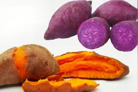 才知道，红薯和紫薯 营养差距这么大？以后别乱买了视频封面