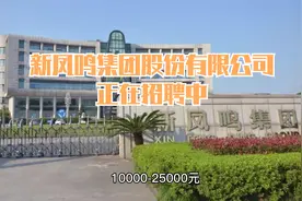 新凤鸣集团股份有限公司正在招人，工资非常高视频封面