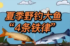 夏季野钓大鱼，需遵循“4大铁律”，不然白坐一整天视频封面