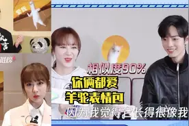 你俩都爱羊驼表情包！是经常聊天吧~喜欢的表情都一样！肖战杨紫视频封面