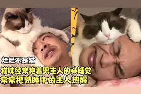 烂烂：猫咪每晚紧紧抱着主人的头睡觉，经常把熟睡中的主人热醒视频封面