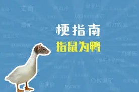 指鼠为鸭是什么梗【梗指南】视频封面