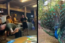 三男子在餐厅即兴斗舞走红，舞者：呈现云南人的一种生活方式视频封面
