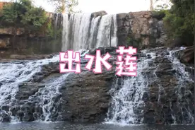 太极站桩音乐加长版《出水莲》古筝笛曲,宁静自然,沐浴心灵!视频封面