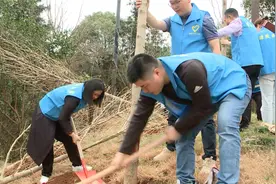 拥抱春天，播种绿色视频封面