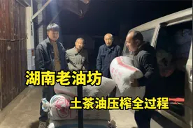 600斤茶籽到底能榨多少油？实拍湖南农村老油坊榨油全过程视频封面