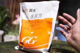 养花常用什么杀菌药？园艺师教你，用多菌灵，各种花卉植物都通用视频封面