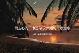【文案】很走心的干净短句 文案短句干净治愈视频封面