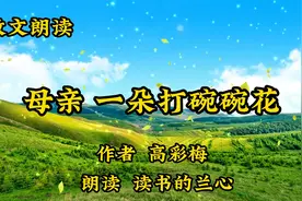 散文朗读《母亲，一朵打碗碗花》 高彩梅，愿永远守候我的圣母石视频封面