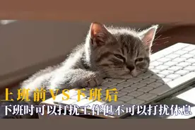 上班前VS下班后：上班时很忙，下班可以打扰工作但不可以打扰休息