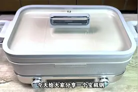 火爆全网的多功能料理锅，煎炒烹炸，一个锅全搞定，太得劲了