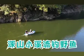 深山小溪流钓野鱼，享受真正的野钓之趣视频封面