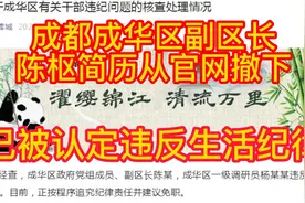 成都成华区干部不雅聊天事情调查结果出炉，女区长从官网撤下视频封面