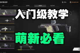萤火突击：如何改枪？选择子弹？伤害构成？