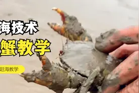 滩涂弋哥教你的技术，你学会了吗？视频封面