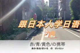 12种基本颜色 ，哪个会成为形容词呢，跟日本人学日语视频封面