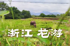 衢州龙游：浙江的小县城，浓浓的江南味，就差穿汉服的小姐姐了视频封面