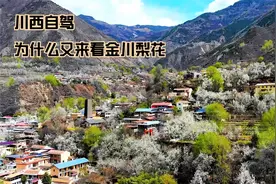 川西自驾，阿坝金川梨花究竟多美，才会吸引我又来？航拍更壮美视频封面
