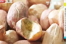 这样的花生米千万不能吃！含有黄曲霉危害大，毒性是砒霜的68倍视频封面
