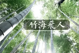 原来竹林轻功是真的，七旬老人不用任何工具，就能在竹林飞越穿梭视频封面
