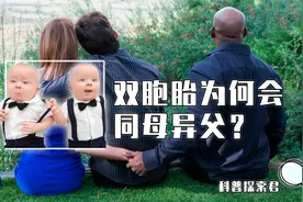 从一个母体诞生的双胞胎，会有两个不一样的父亲？这到底是为什么视频封面