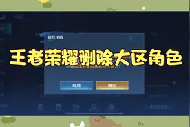 王者荣耀删除大区角色视频封面