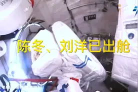 陈冬、刘洋已出舱视频封面