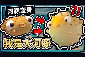 这条河豚太可爱，可以变大变小，气鼓鼓变成球自己翻滚！薄海纸鱼