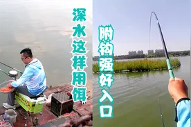 深水钓鱼怎么开饵，附钩性好还容易入口，直击水底大个体！视频封面