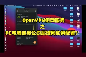 OpenVPN组网服务之PC电脑连接公司局域网如何配置？视频封面