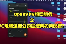 OpenVPN组网服务之PC电脑连接公司局域网如何配置？