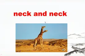 neck and neck 不是“脖子和脖子”，翻译错就麻烦了