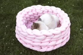 徒手就能编织的粗绳猫窝，就这么简单好看又暖和，快给猫咪来一只