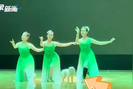 太抢镜！昆明一高校学生跳舞时狗子窜上台 网友：画面太和谐视频封面