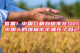 官宣！中国口粮自给率在100%以上，中国饭碗牢牢端在自己手中视频封面