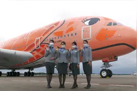 [4K高清]东京成田机场全日空A380橙海龟彩绘机近距离特写拍摄视频封面