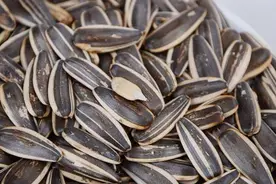 经常吃瓜子的抓紧看看！我也后悔才知道，看了记得告知家人朋友视频封面