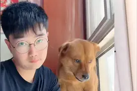 网红小狗被虐后续，狗主人疑似精神分裂，扬言200万可带走小狗视频封面