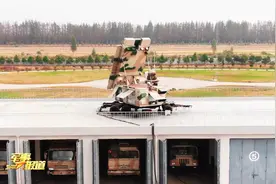 直击演训场丨空地对抗 陆航地导互为对手视频封面