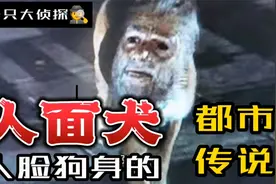 人面犬  的都市传说  人脸狗身的奇闻异事视频封面