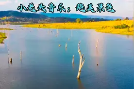 小老头轻音乐--风起绿洲吹浪去，雨从青野上山来。——《毛主席》视频封面